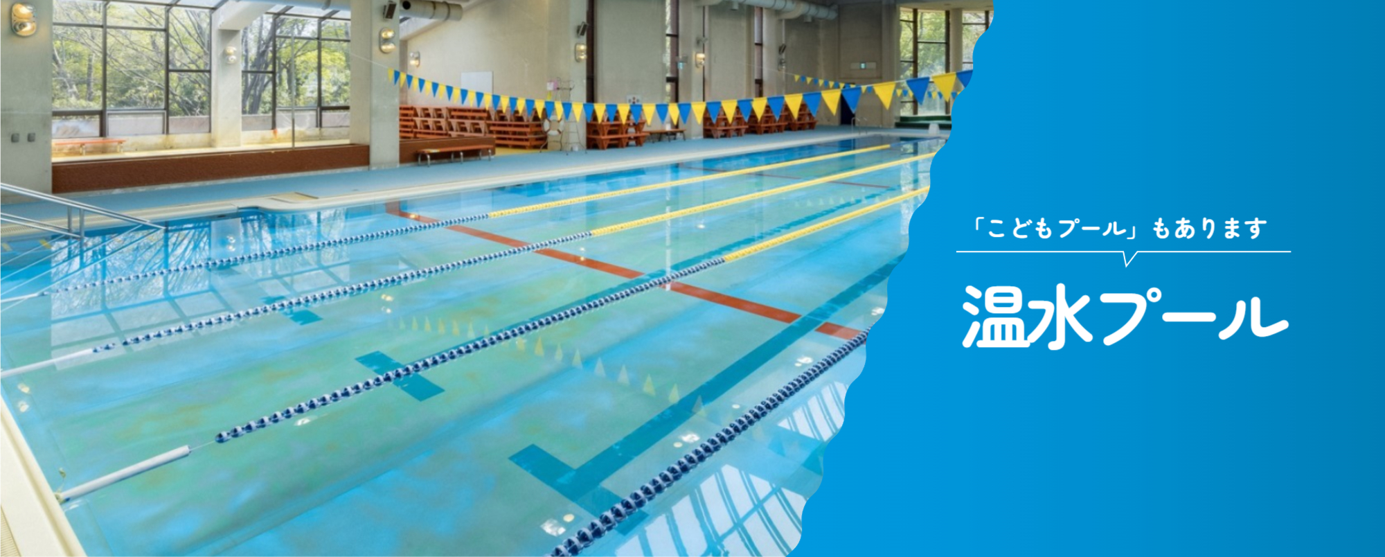 画像　プールご案内