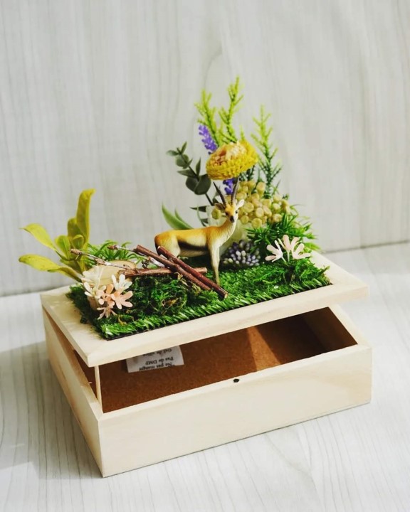 画像 From.Y