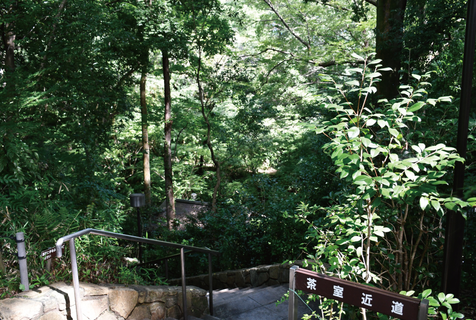 画像　日本庭園1