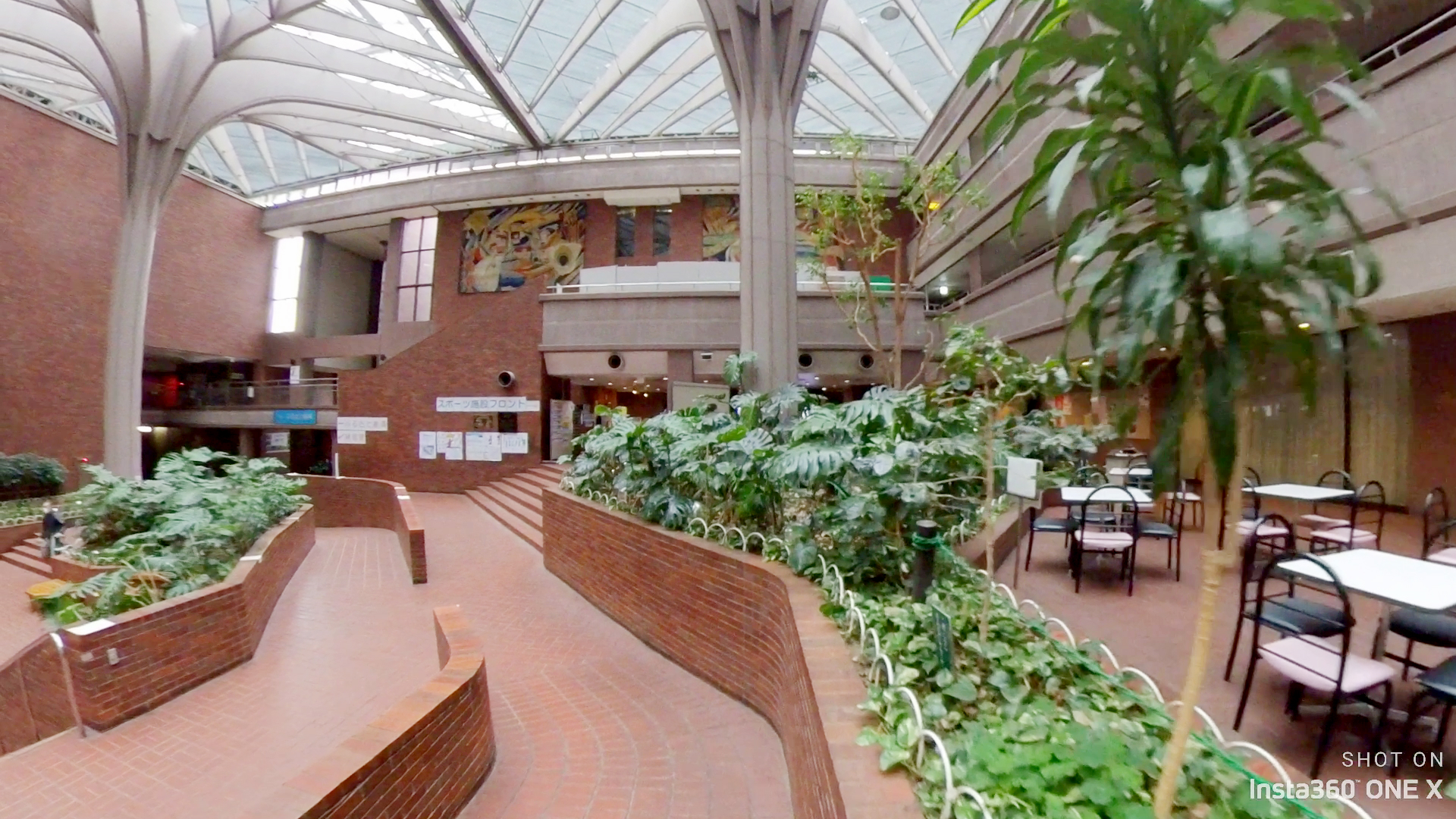 画像 屋内広場 植栽エリア伐採前