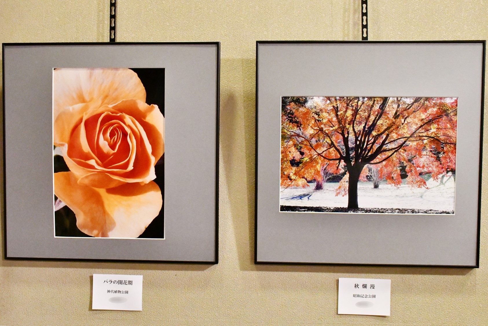 (画像)短期講座「写真教室」作品