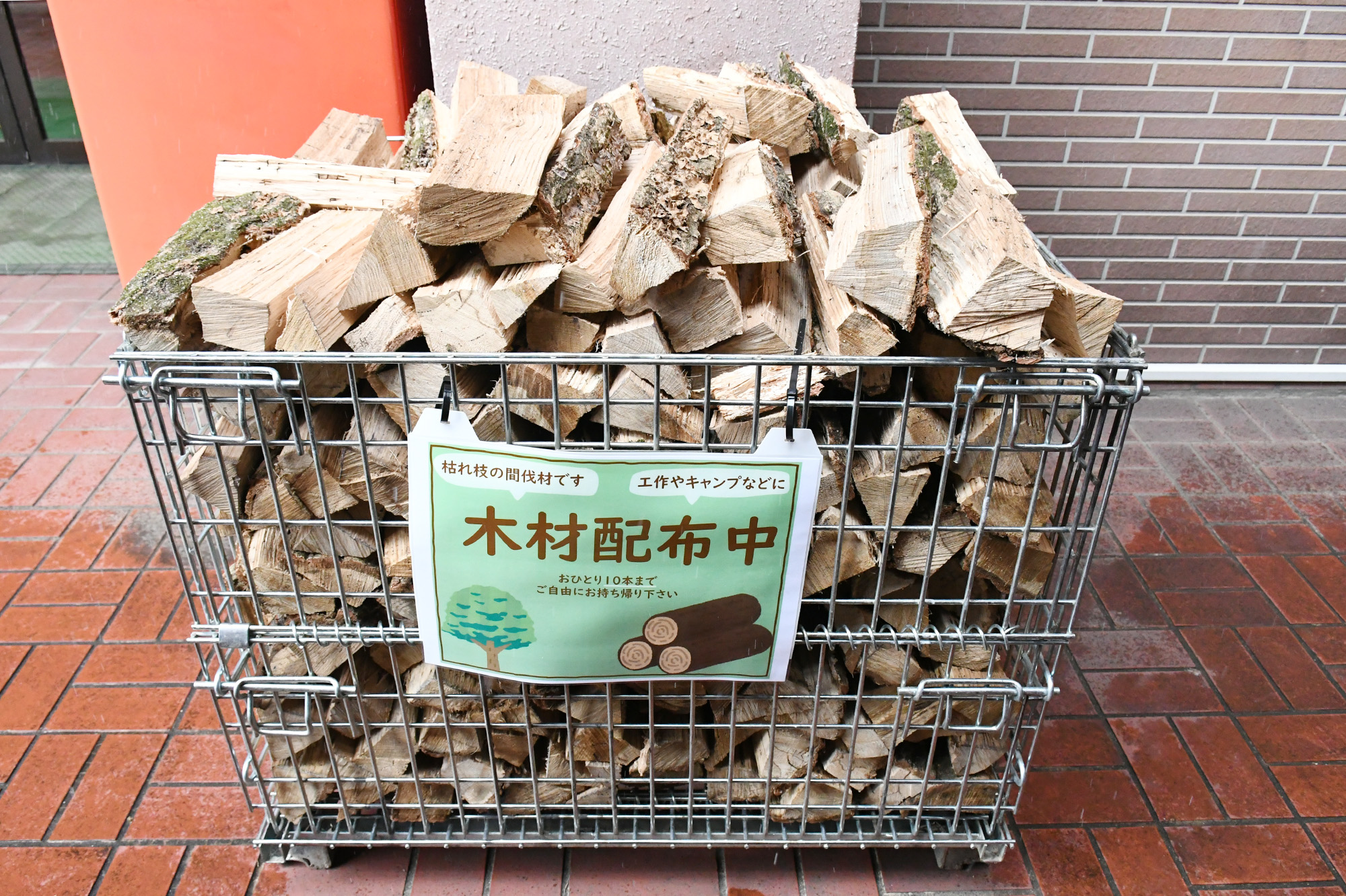 画像　間伐材置き場