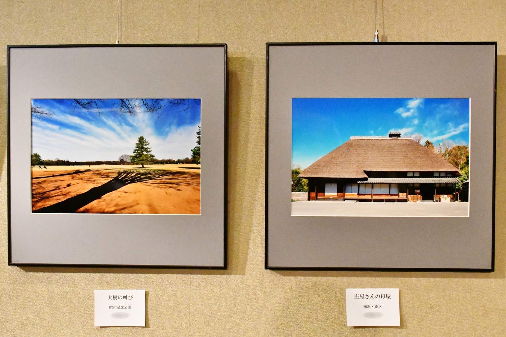 (画像)短期講座「写真教室」作品