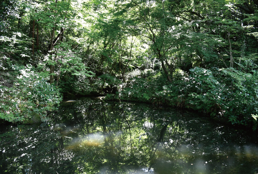 画像　日本庭園3