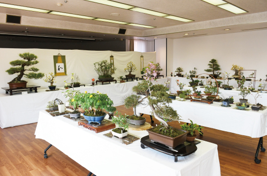 画像 趣味の教室・短期講座 発表会の様子