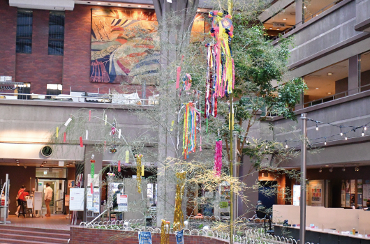 画像 七夕展示