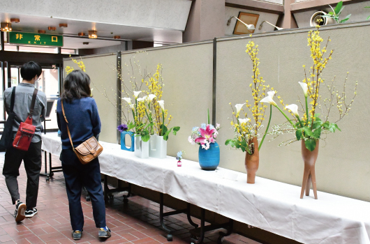 画像 展示発表