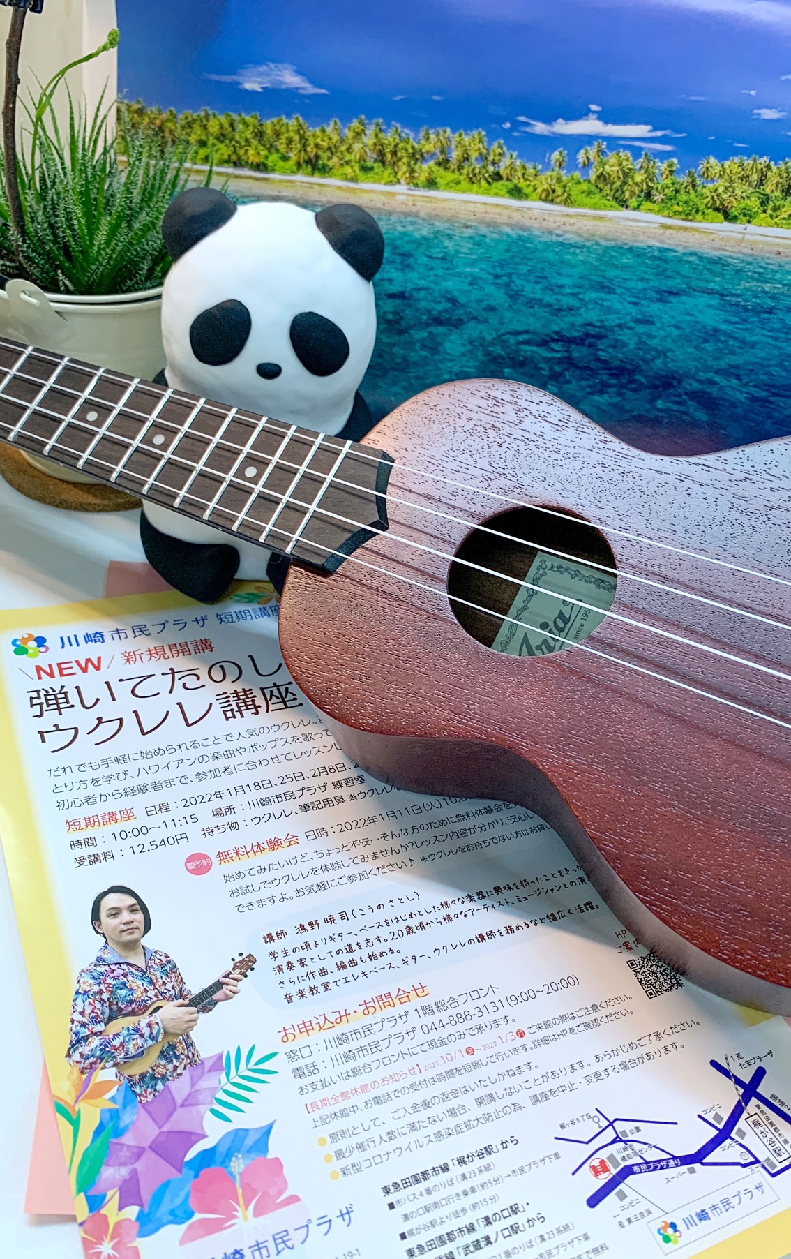 画像 ウクレレ講座