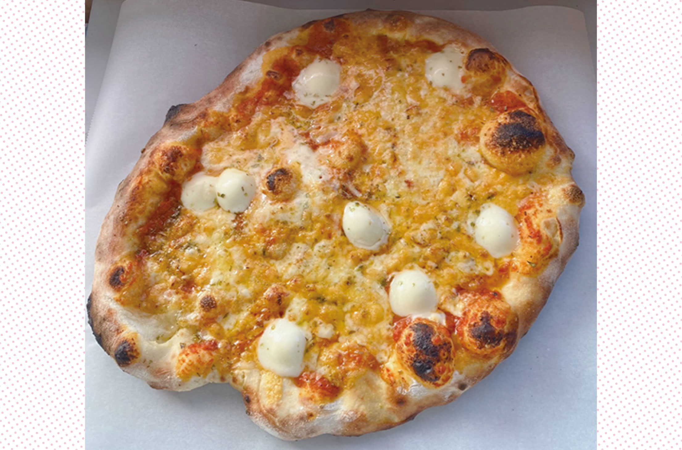 画像　TJK PIZZA