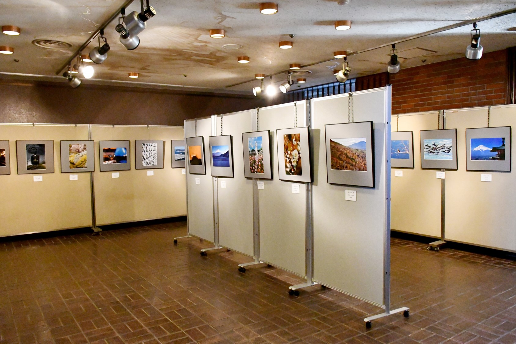 (画像)短期講座「写真教室」作品展