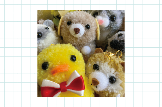 画像　みなみかぜ