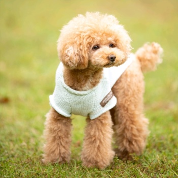 画像　作品見本