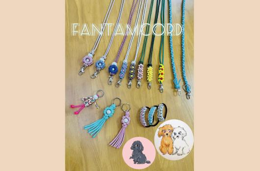 画像 Fantamcord